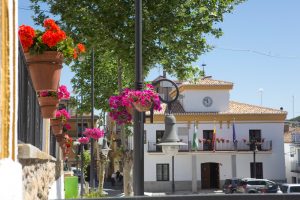 ayuntamiento-la-peza